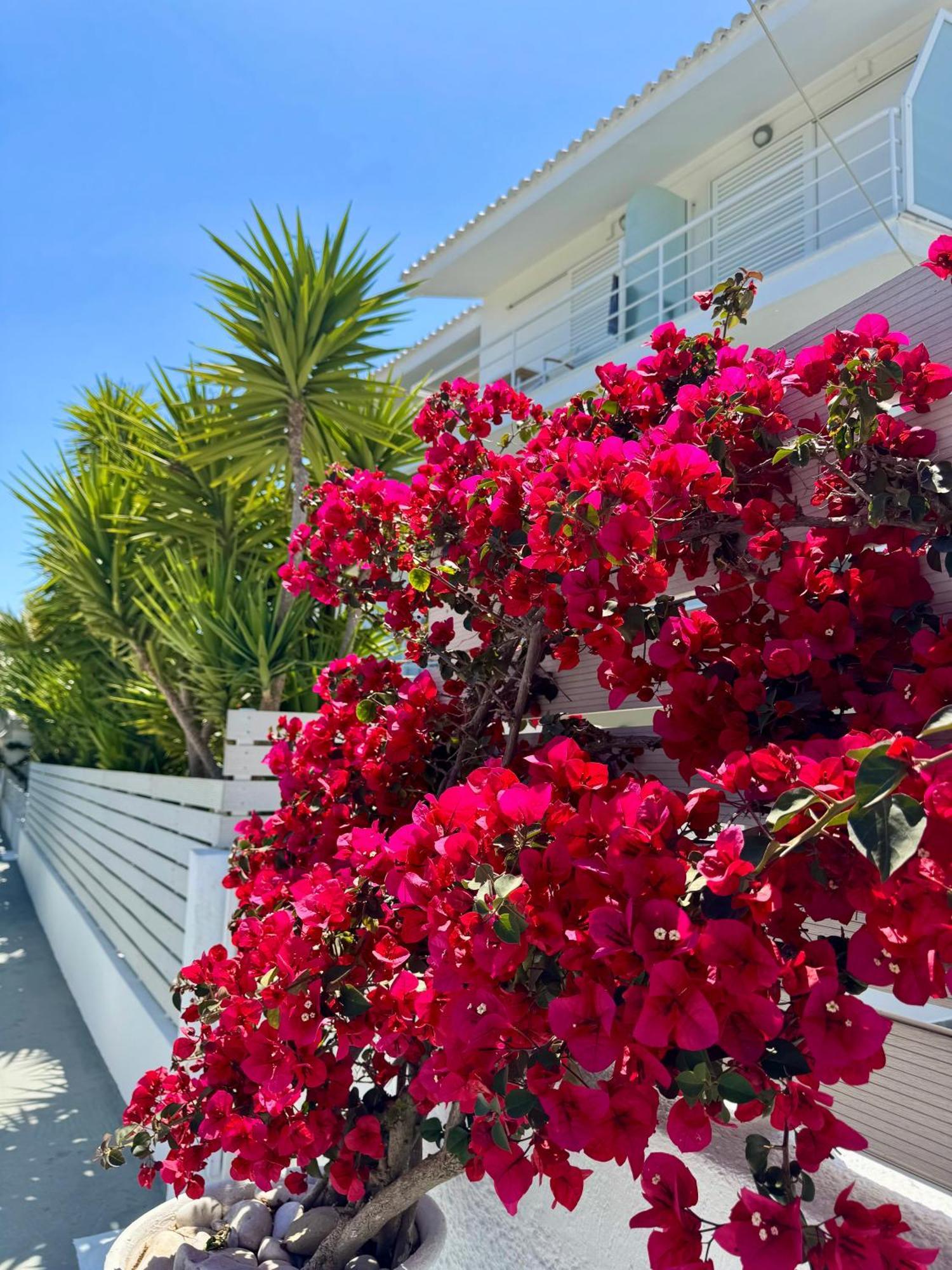 Anemoni Beach Hotel Skiathos by Eksteriør billede