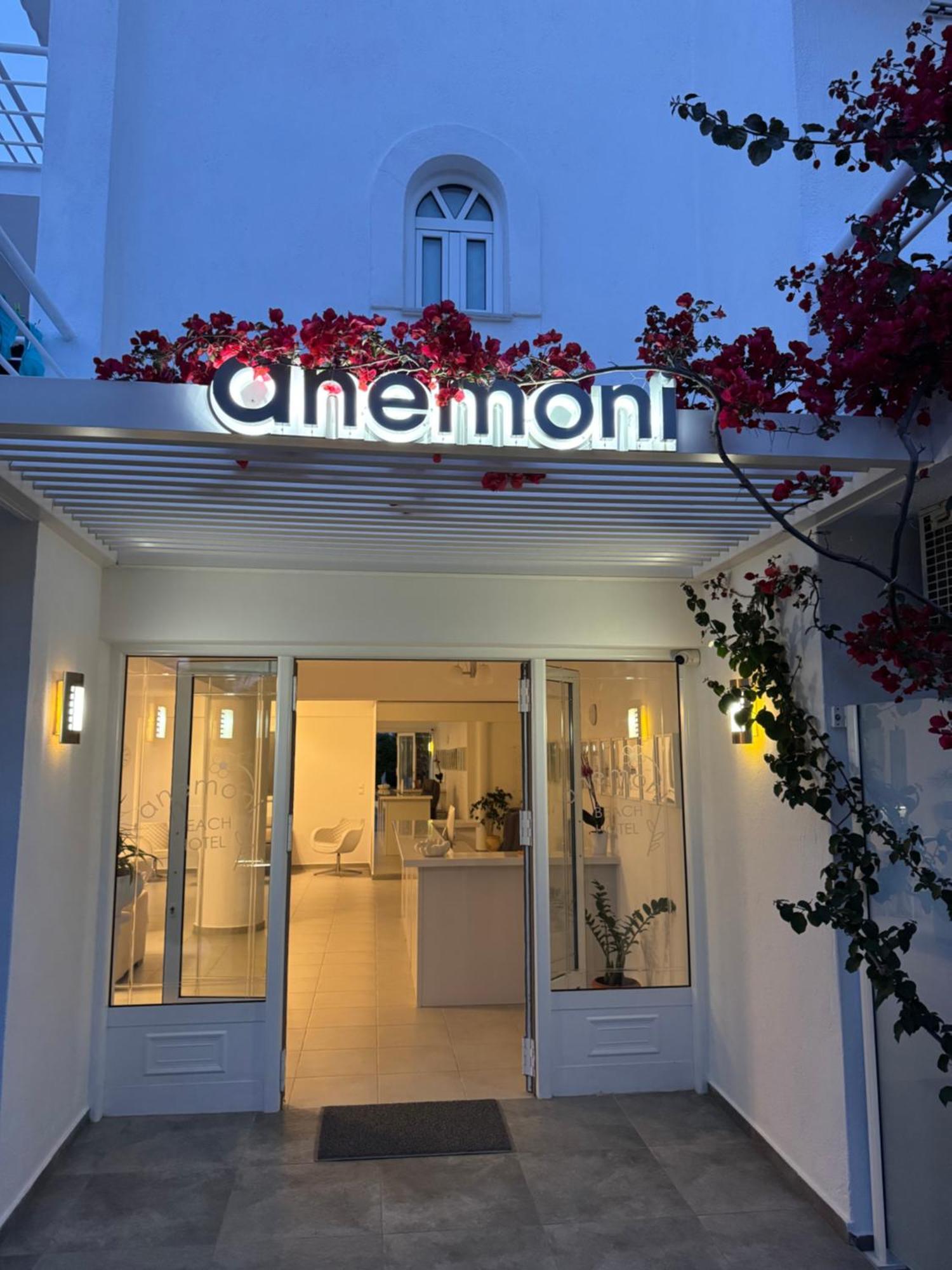 Anemoni Beach Hotel Skiathos by Eksteriør billede